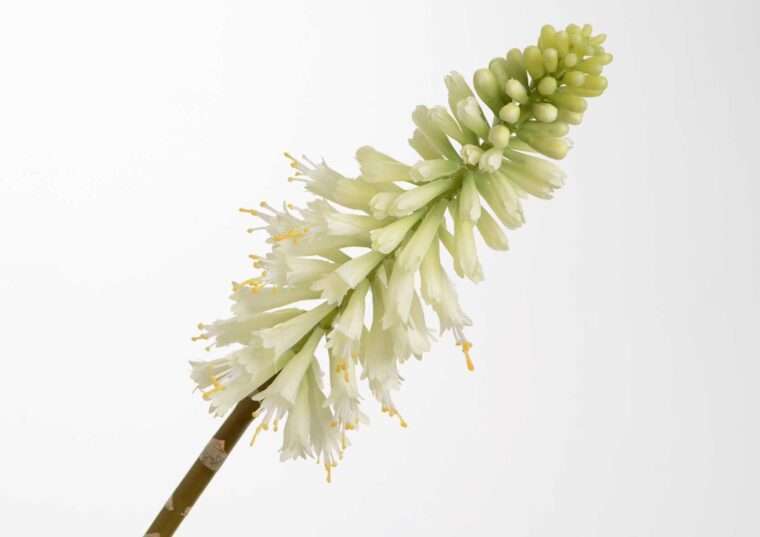 KNIPHOFIA JADE fleurs artificielles bouquet